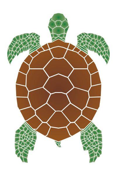 Sea turtle