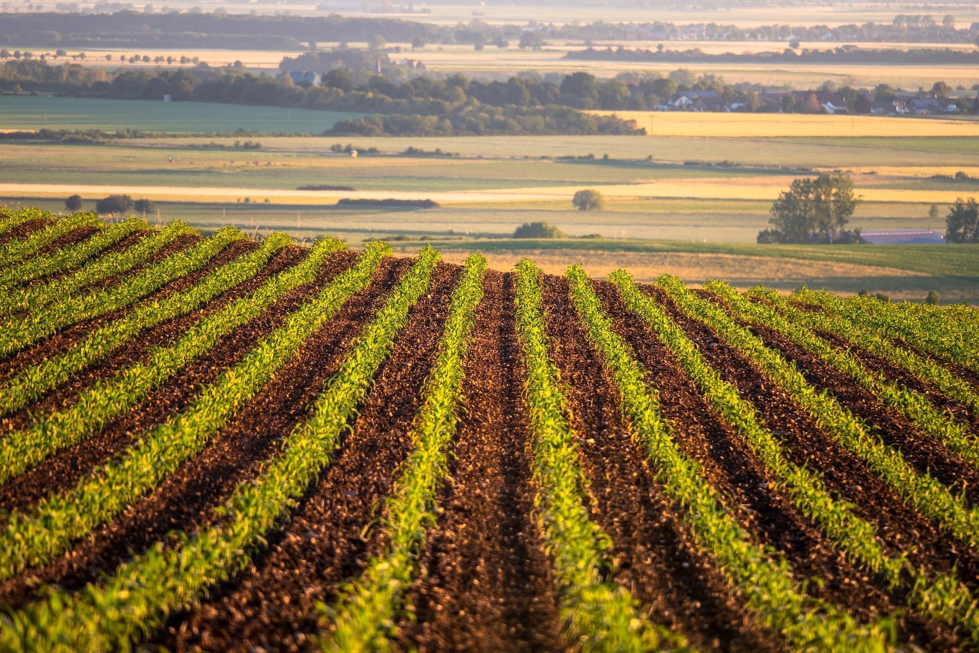 Investing in Food for Generations