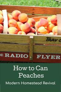 canning peaches