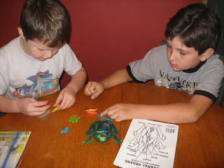boys learning about frogs