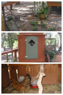 how to build a chicken coop in your backyard