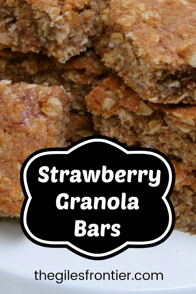 strawberry granola bars