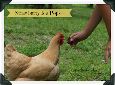 hen homeschool homeschool hen