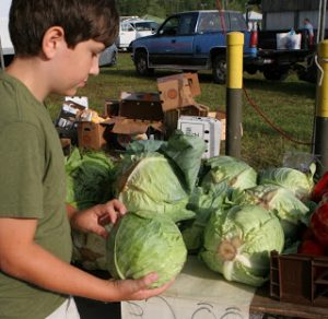 florida homeschooling at a farmers market
