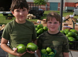buying apples and avocados at the farmers market