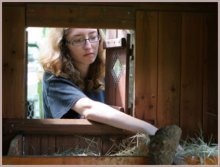 checking the coop for eggs
