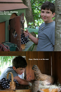 grayson collecting eggs from the chicken coop