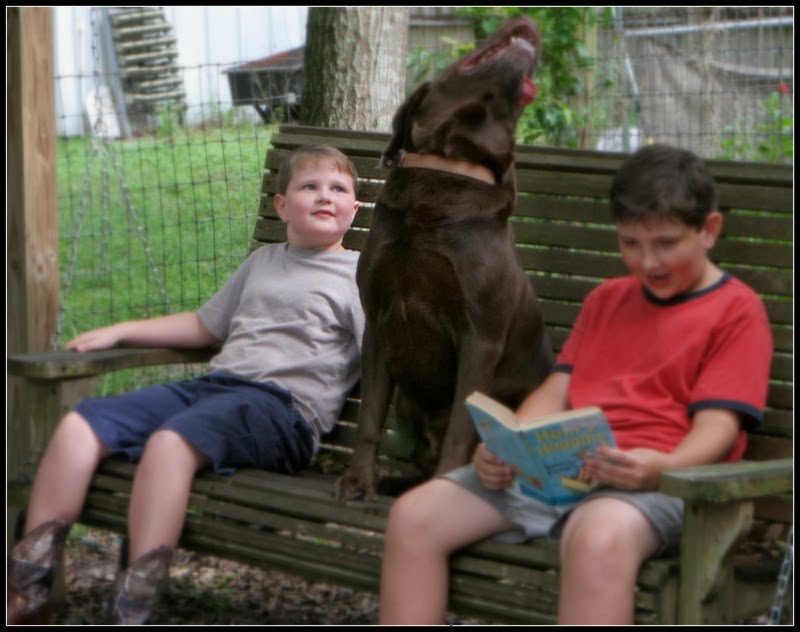 boys learn to read with dog