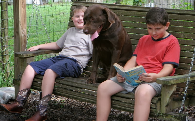boys learning to read with dog on a swing