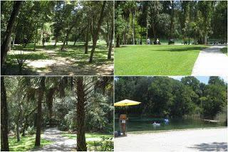 alexander springs national park