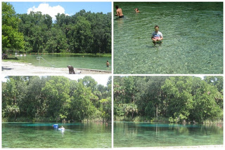 swimming at alexander springs park in florida