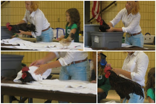washing a chicken demonstration