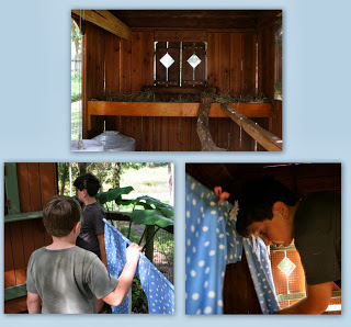 hanging curtains in the chicken coop for broody hens