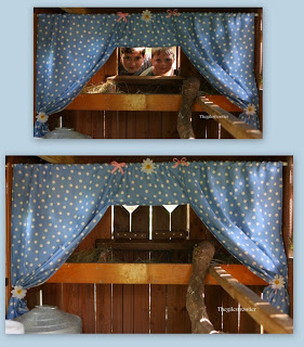 curtains in the chicken coop