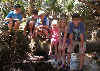 Juniper Springs