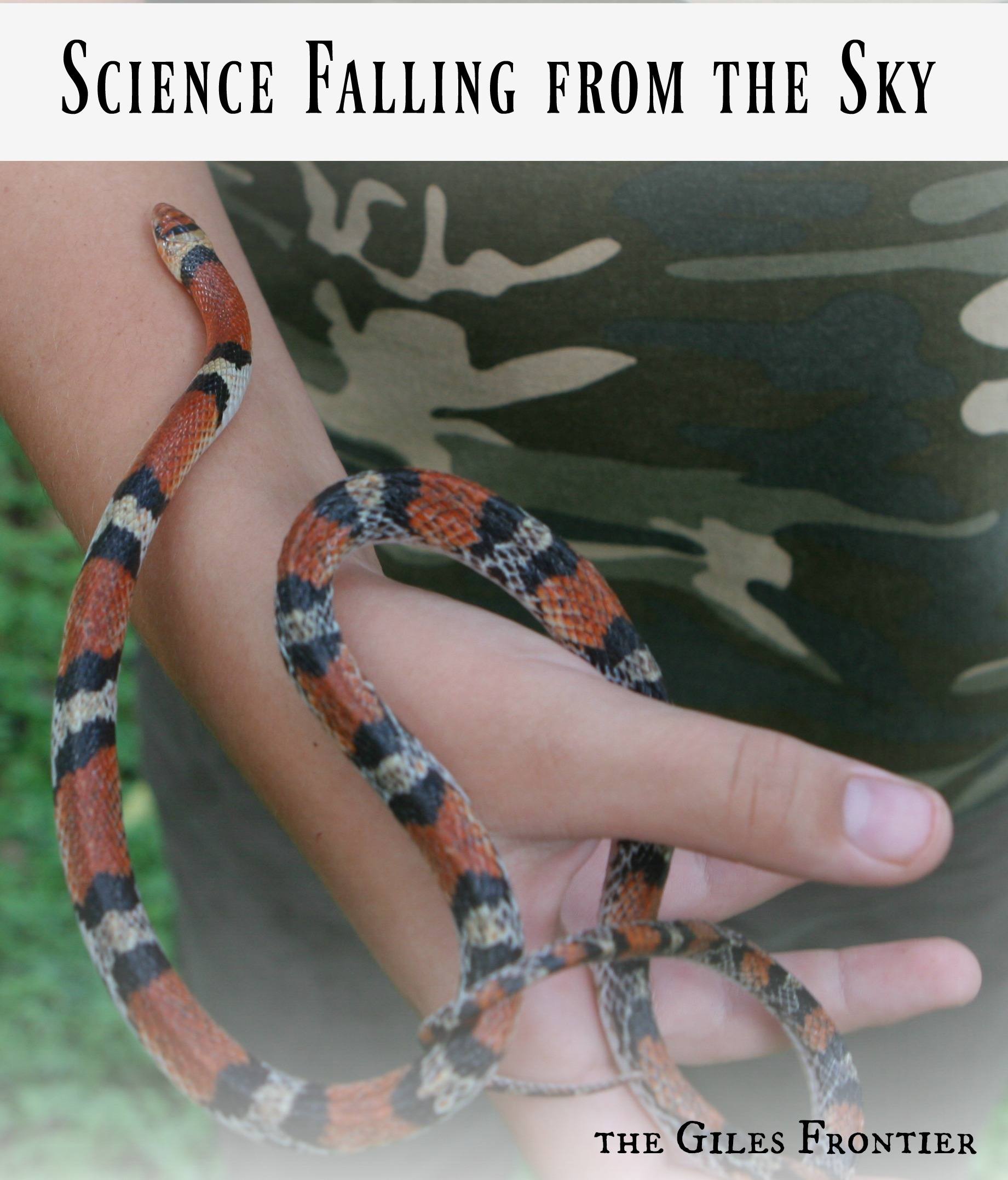 sciencefallingp