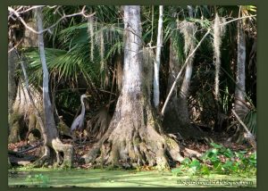 florida homeschooling learning style