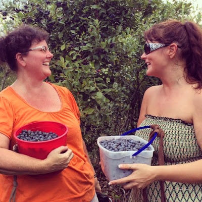 blueberry buckets