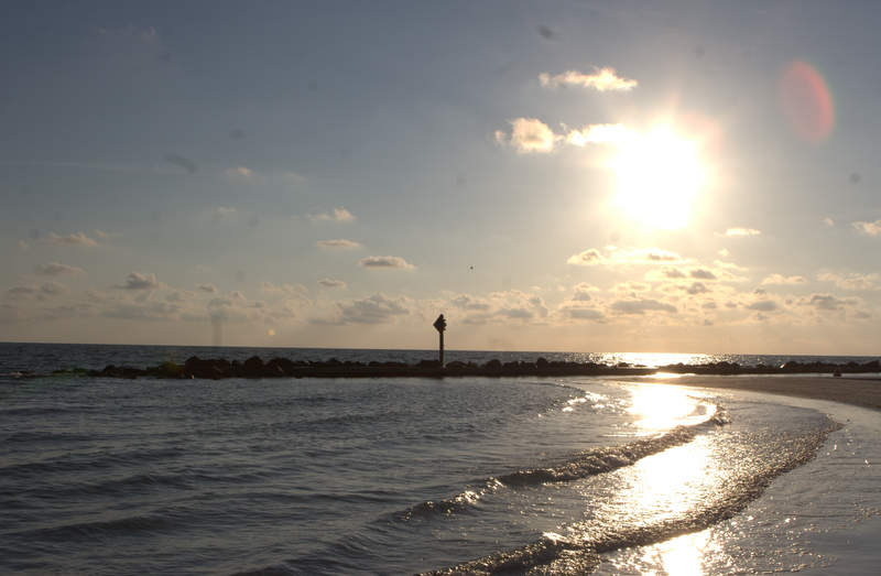 honeymoon island 4
