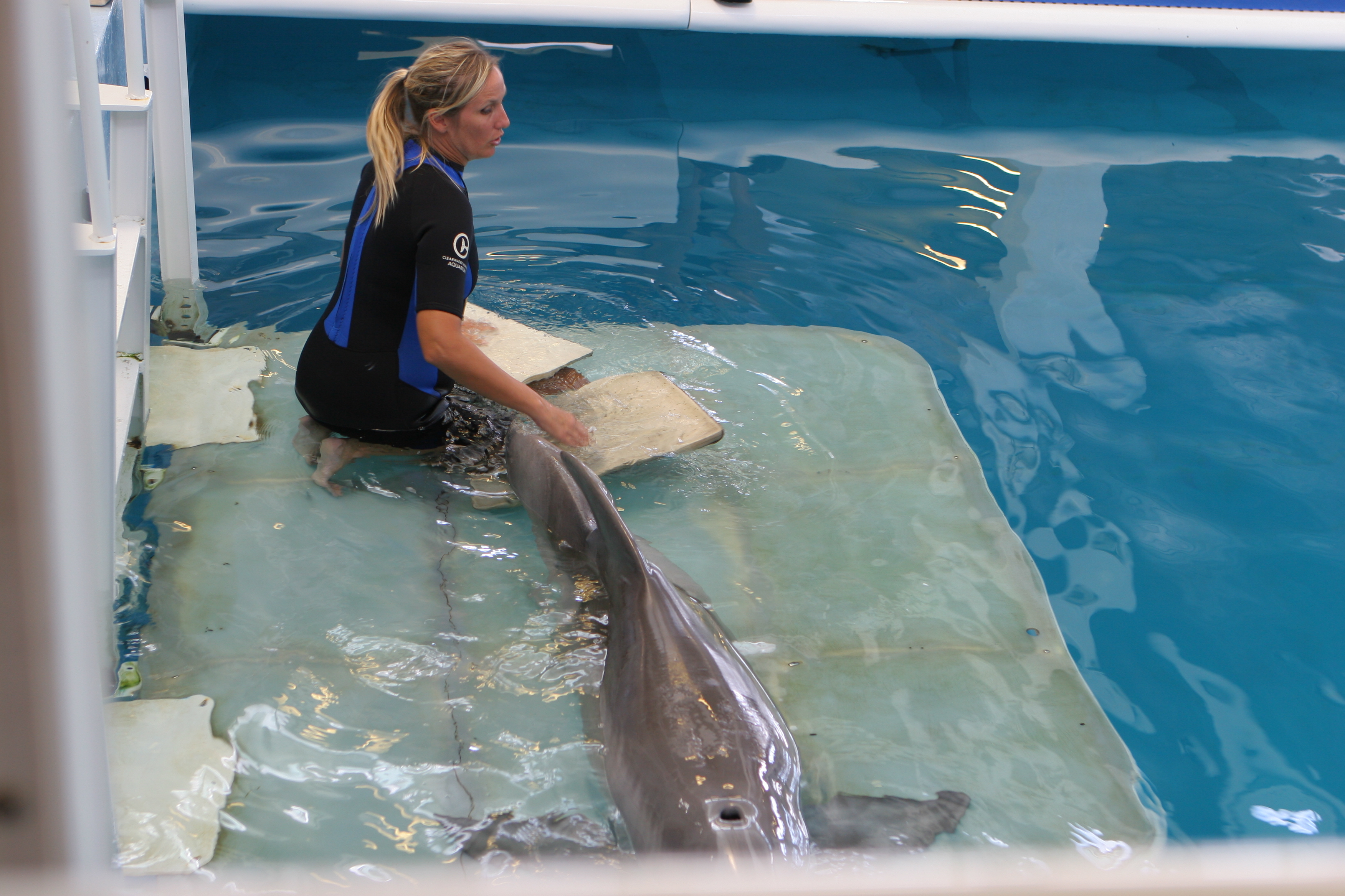 clearwater marine aquarium with winter