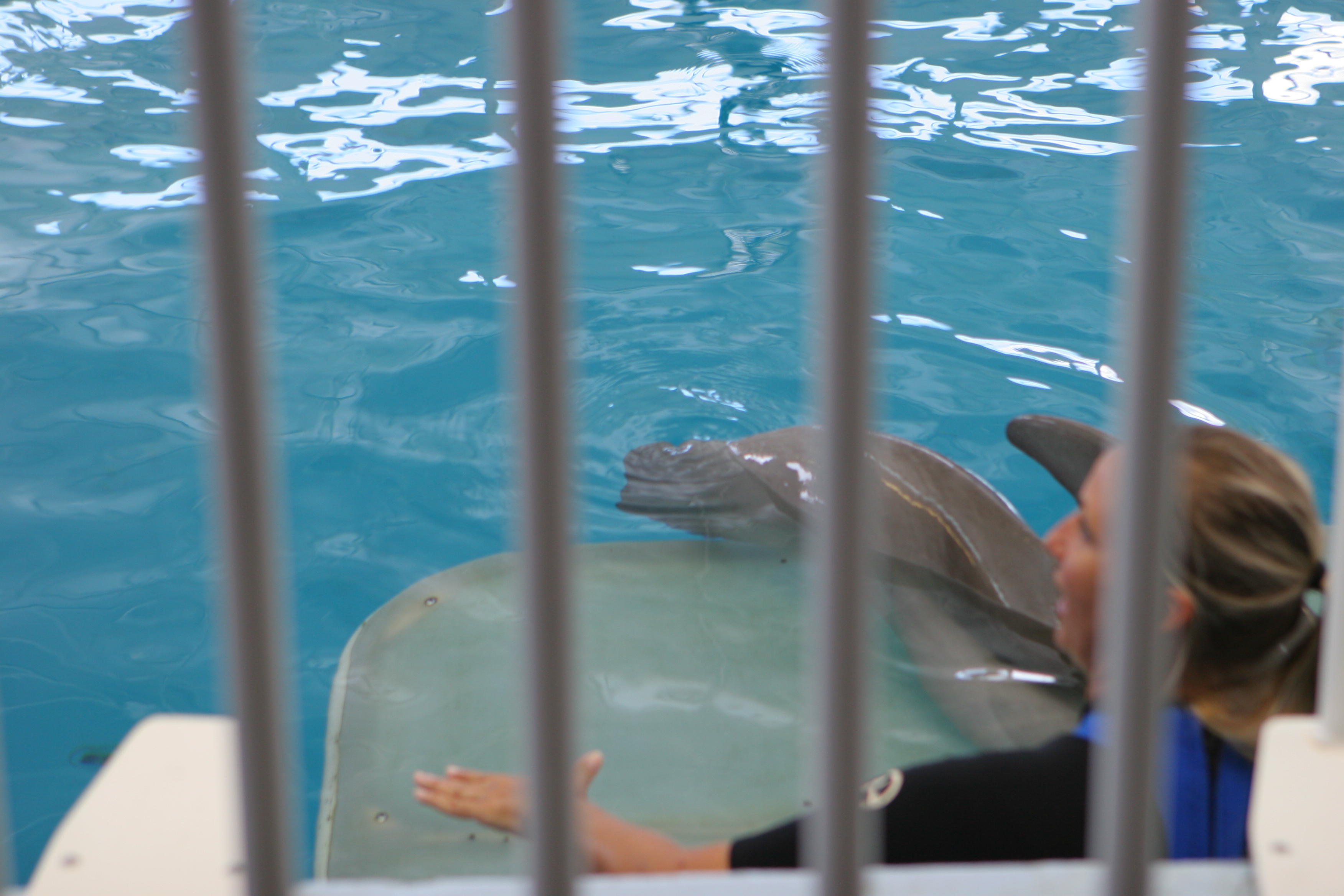 winter clearwater marine aquarium