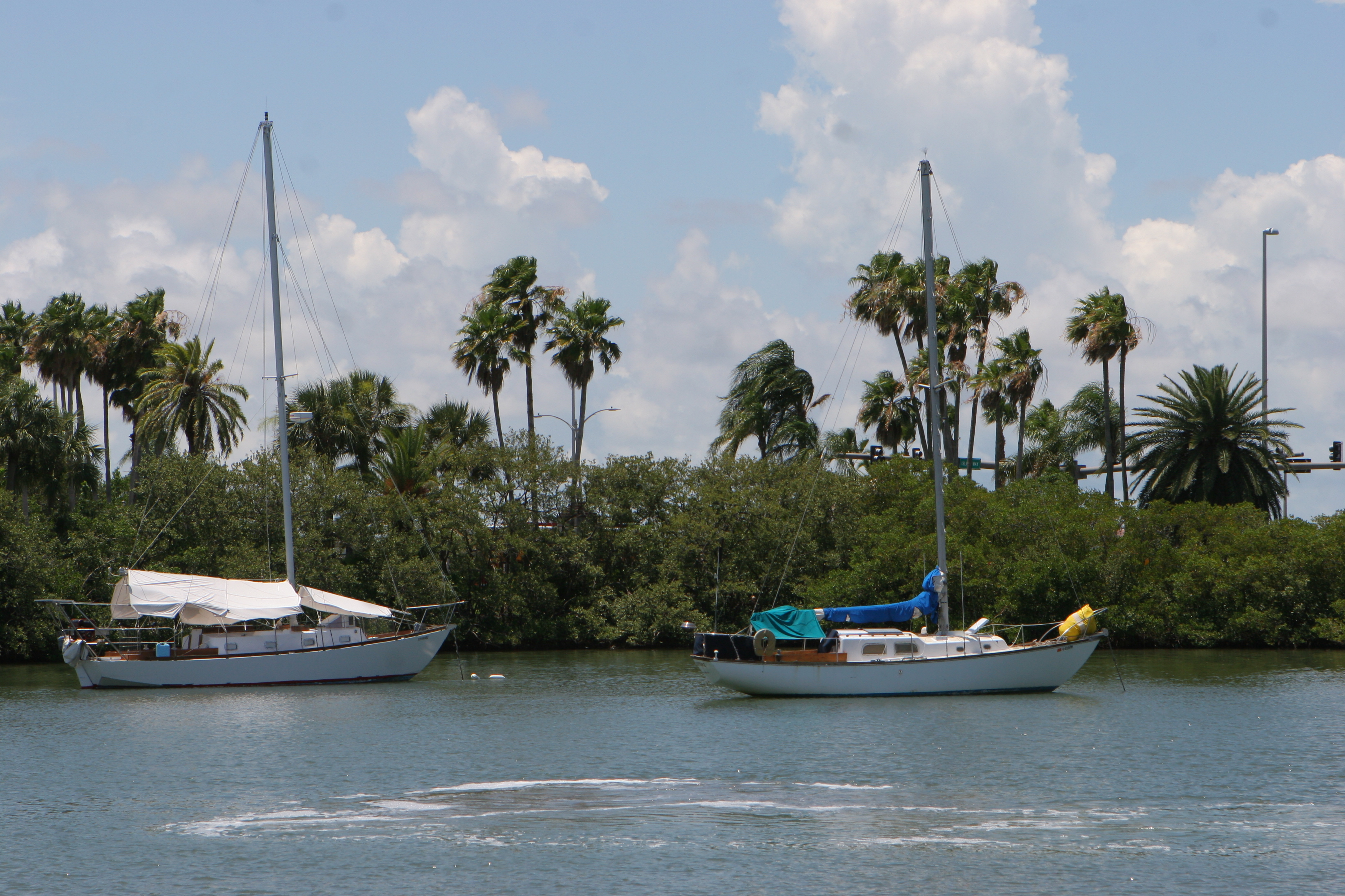 clearwater boat ride from the aquarium
