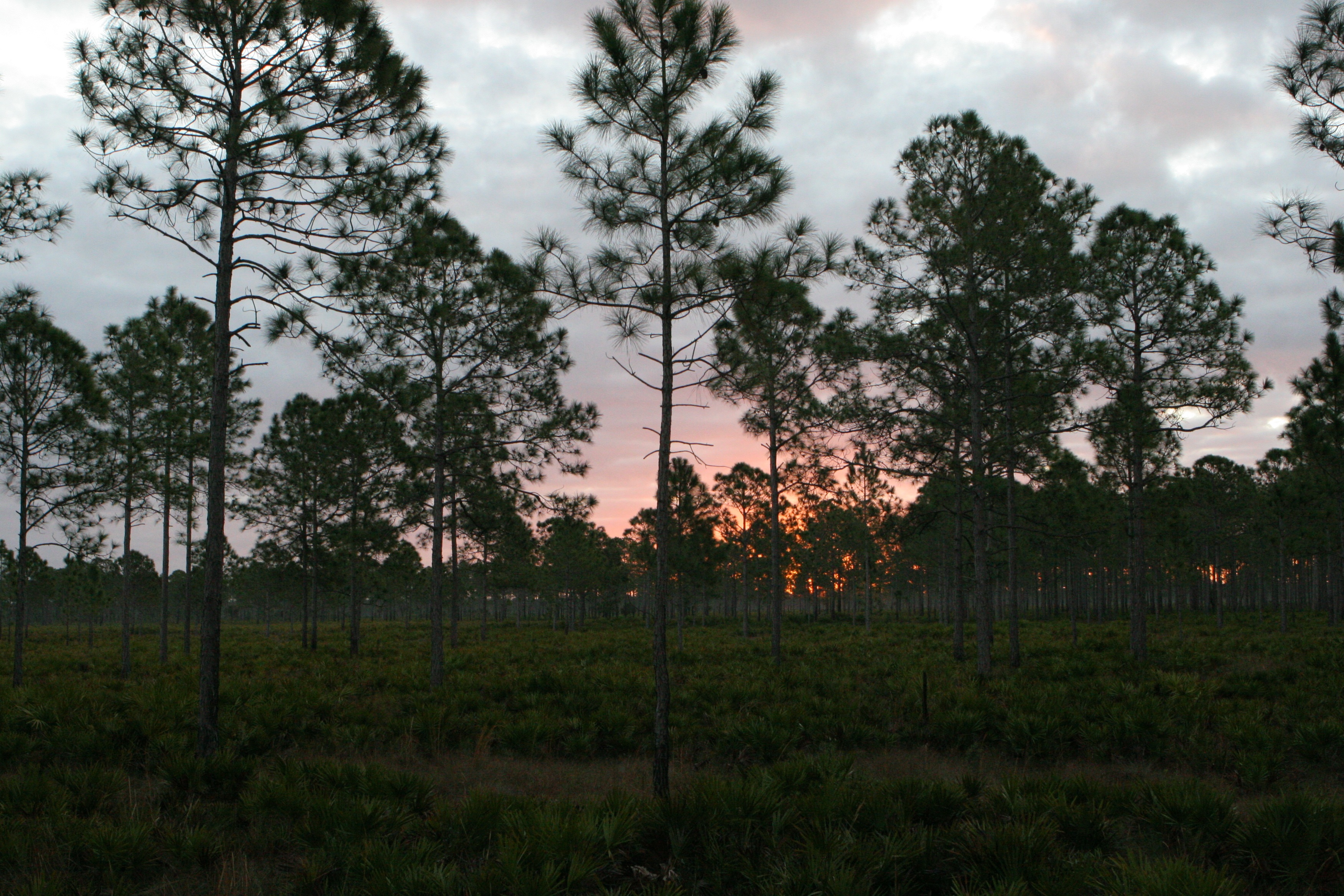 sunrise