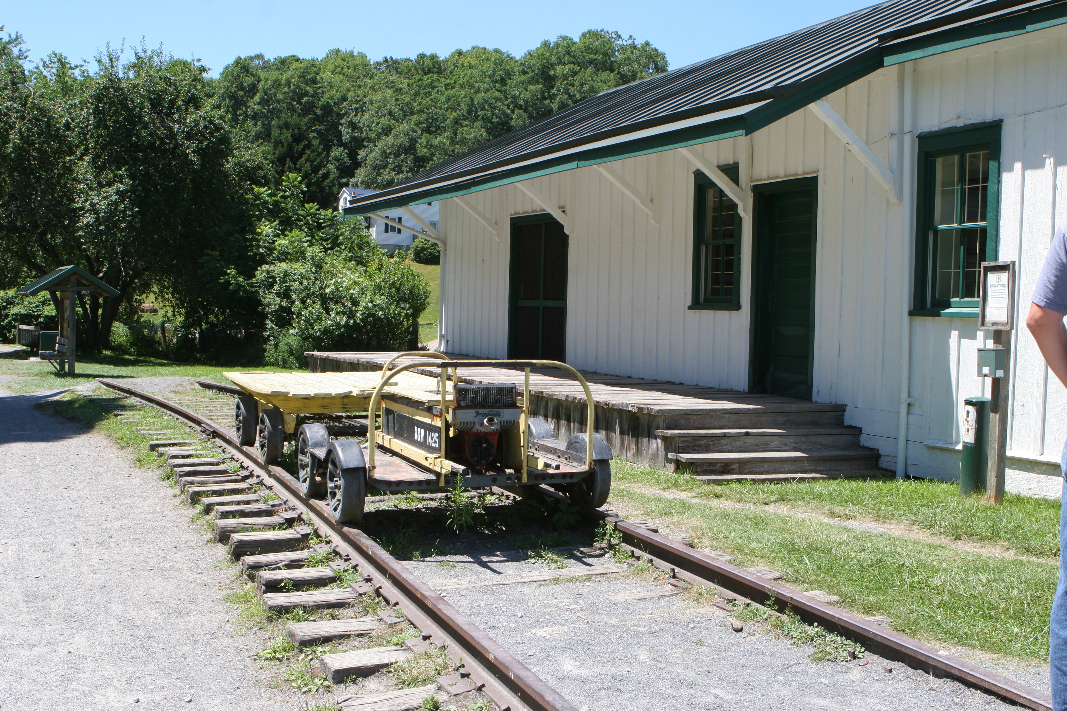 virginia creeper green cove station