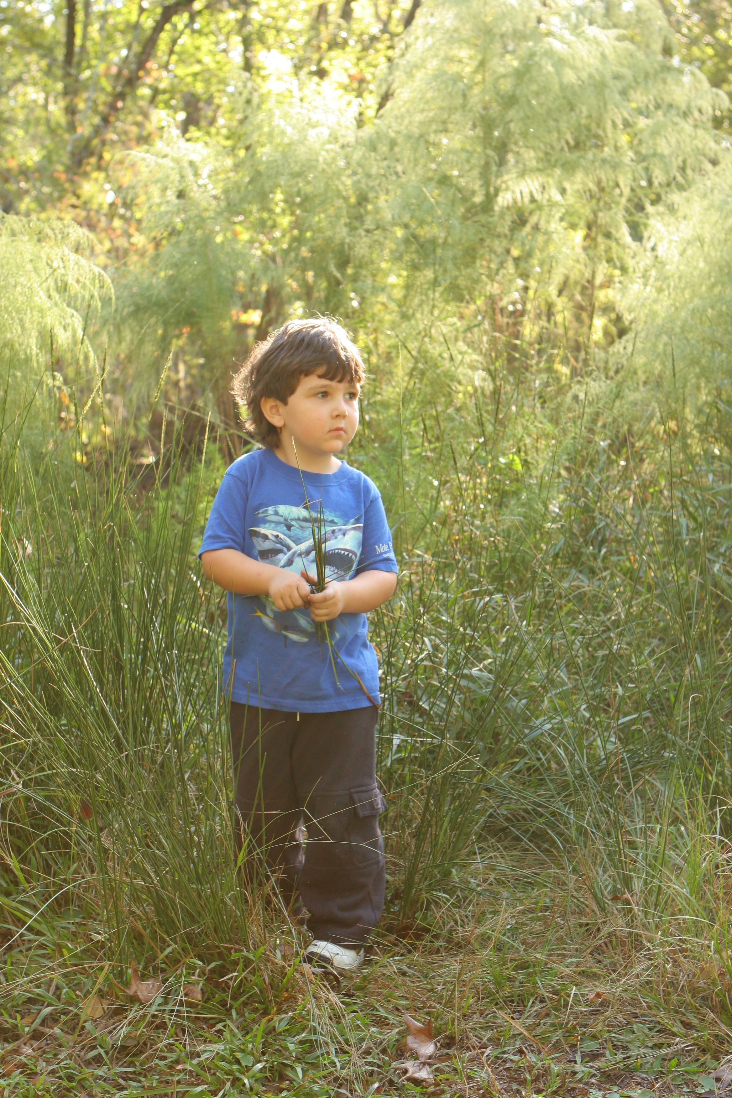 special needs grayson in a field