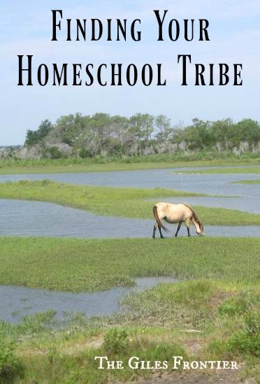 homeschool tribe
