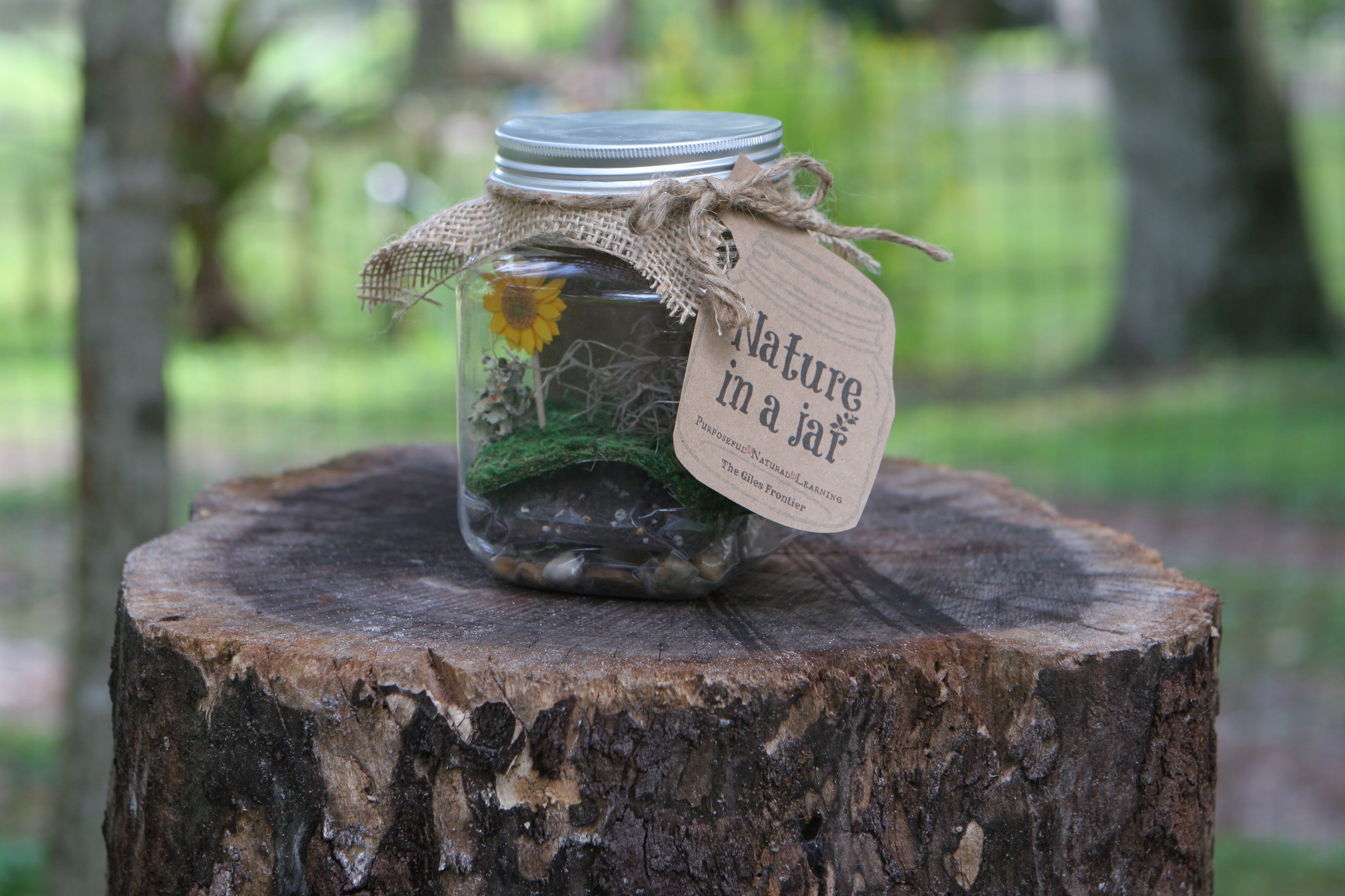nature in a jar craft for kids