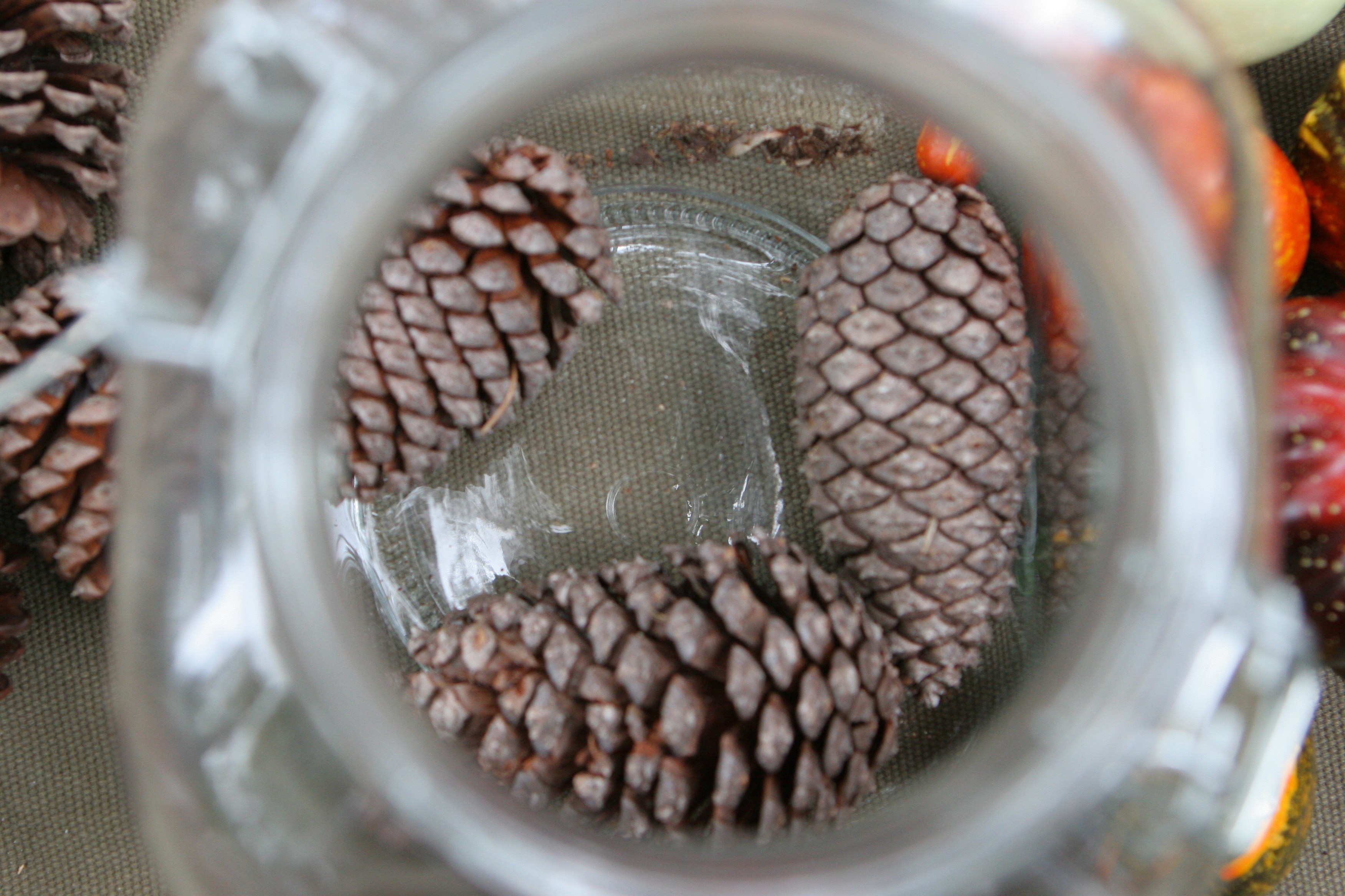 easy craft jar