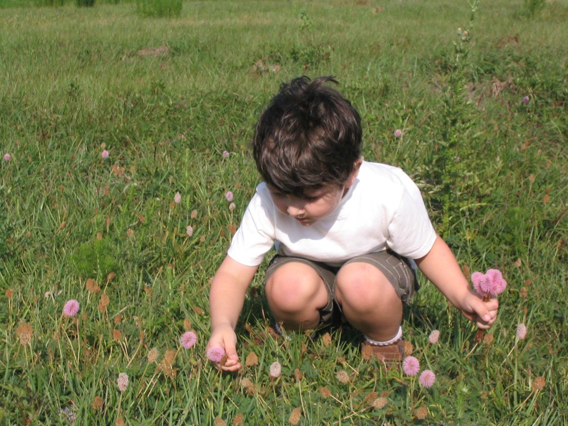 special needs search see, look and feel the family's search