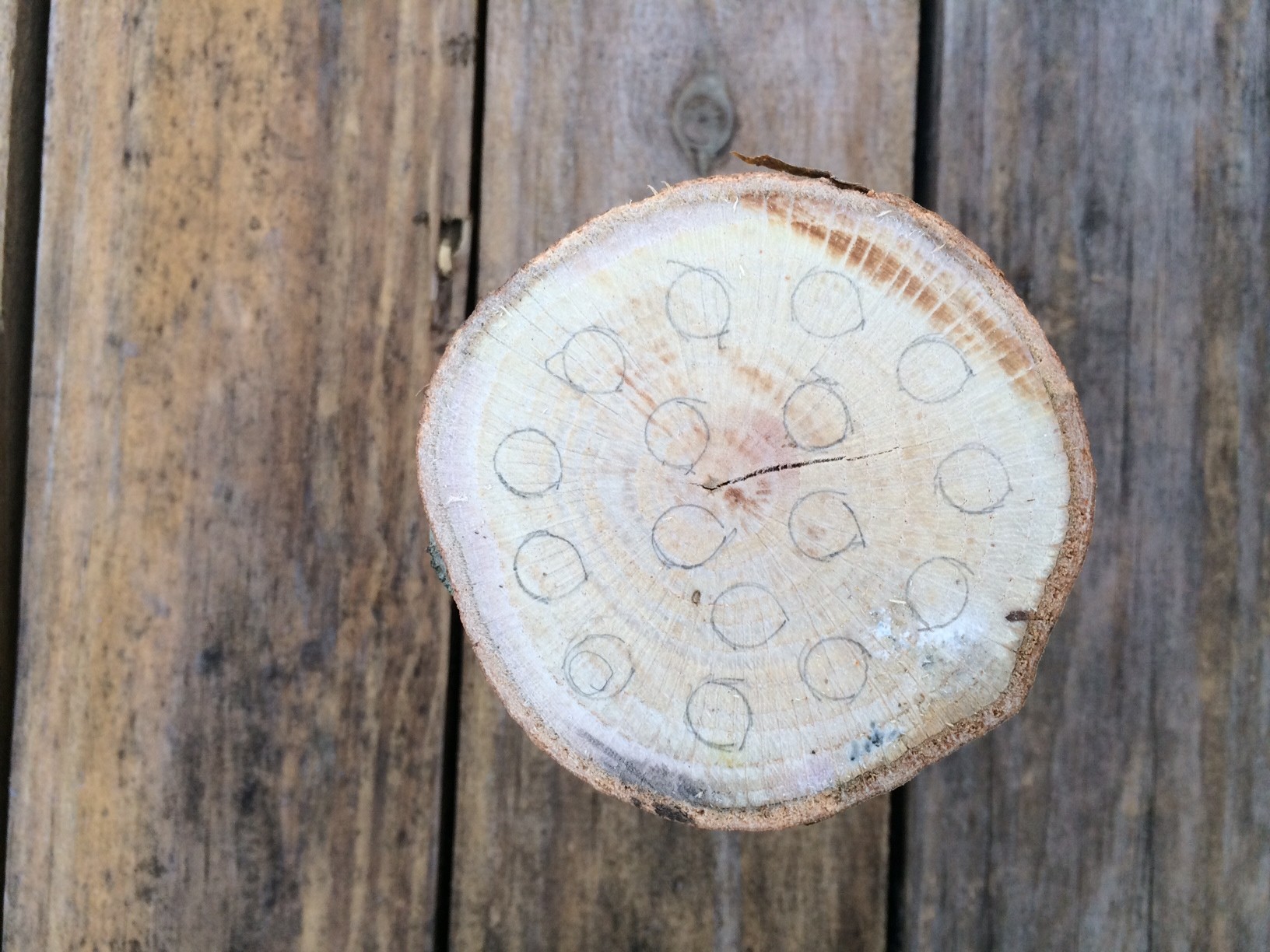 designing a wooden pencil holder pattern