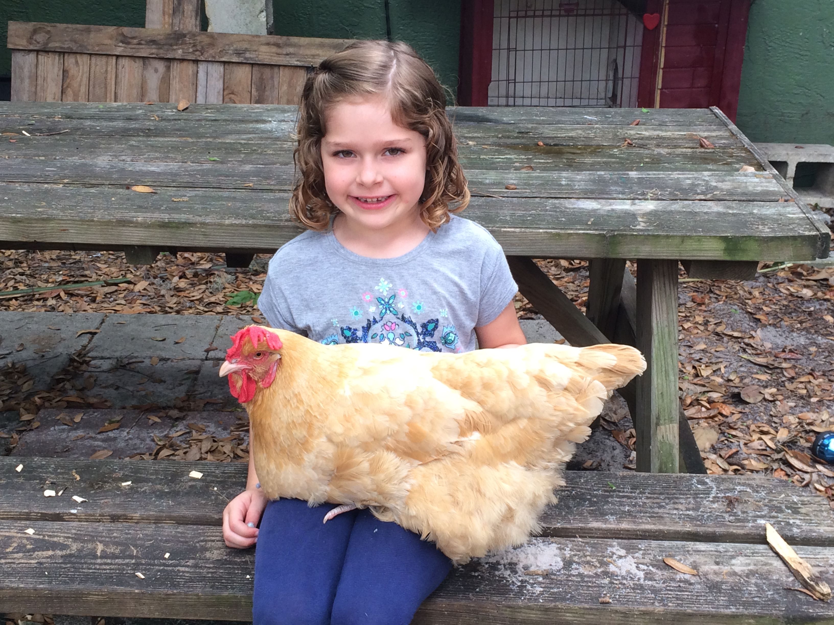 florida homeschooling learning style