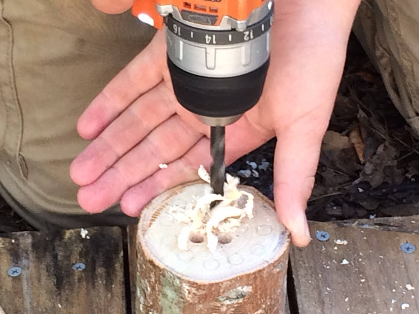 grayson drilling holes for a pencil holder