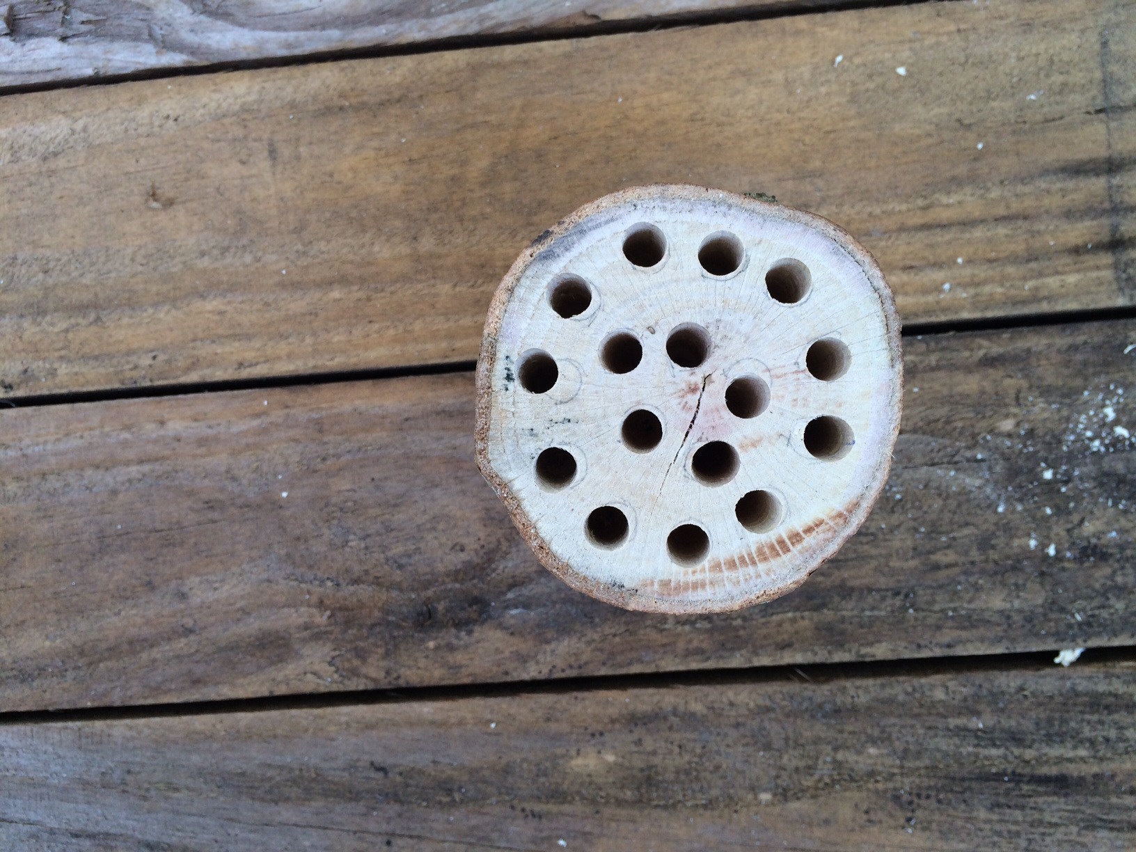 wooden pencil holder drilling holes