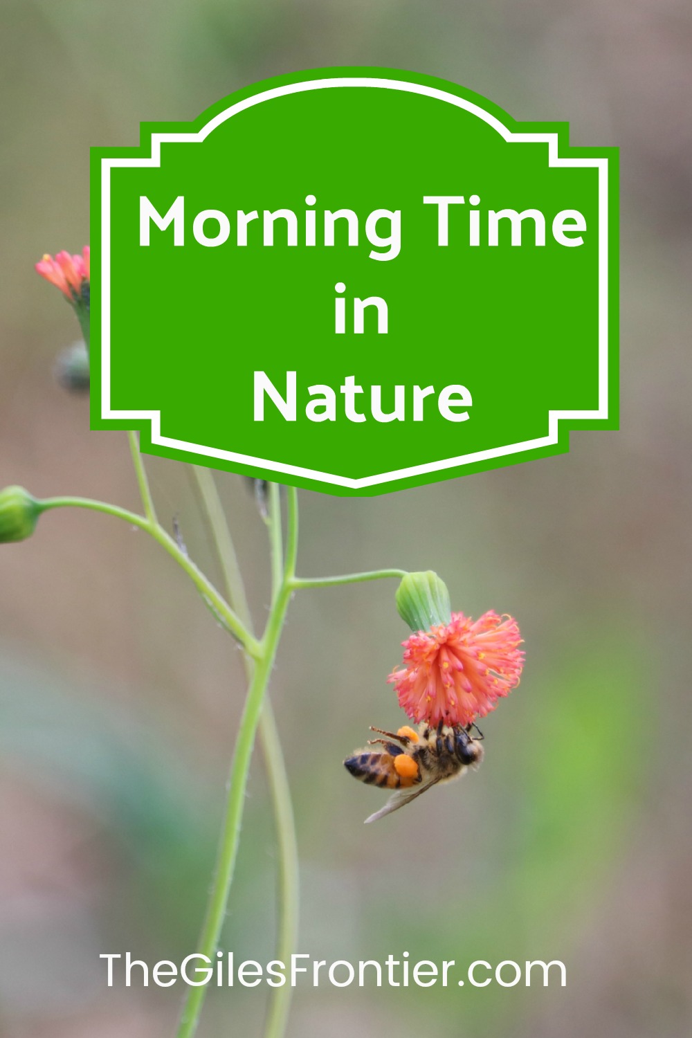 morning time