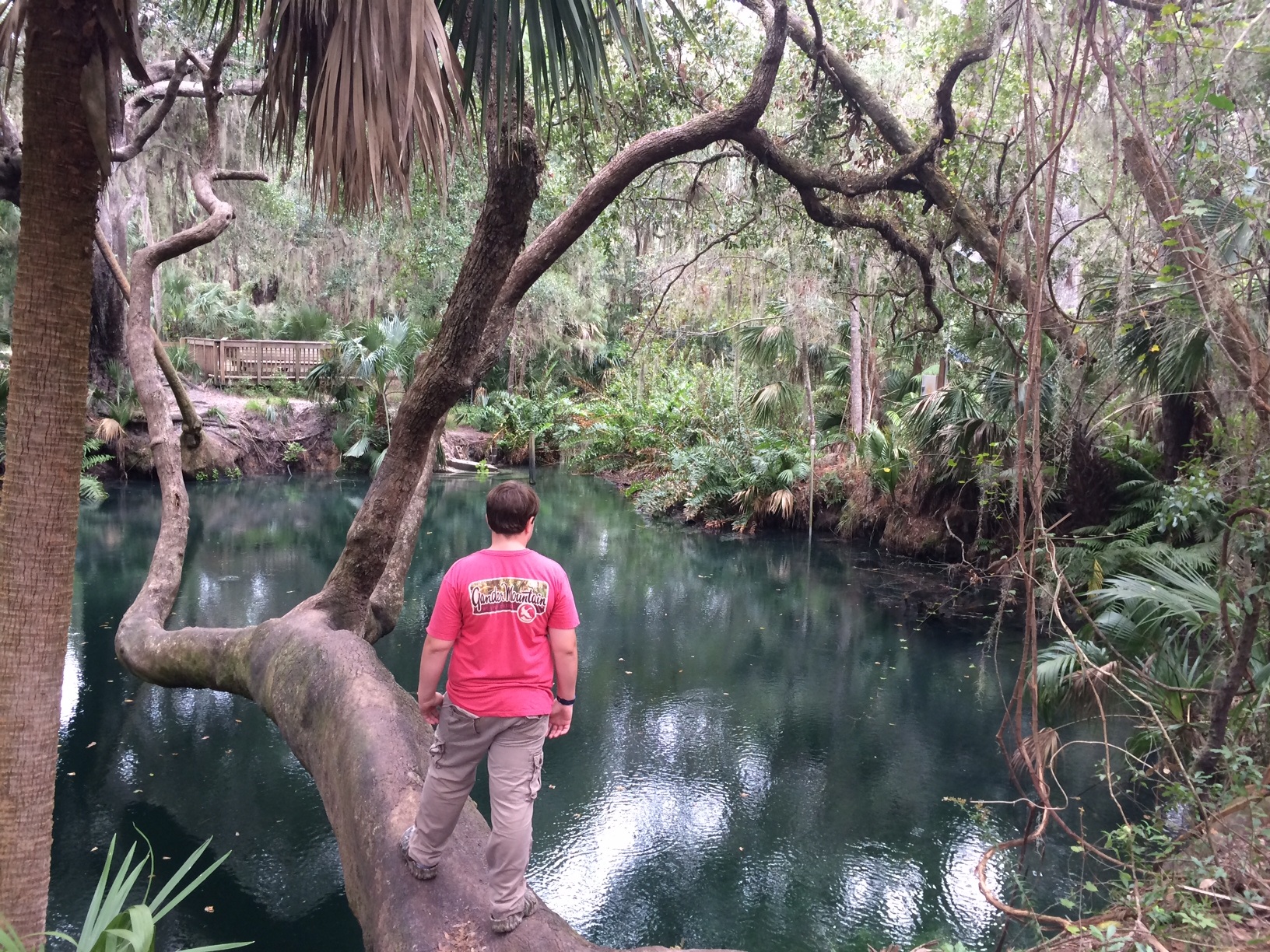 green springs florida home education