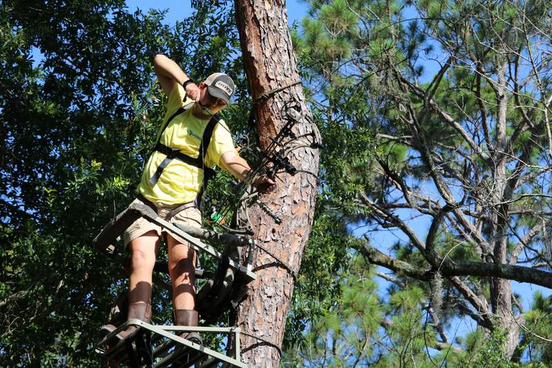 developing passion in a deer stand in the backyard