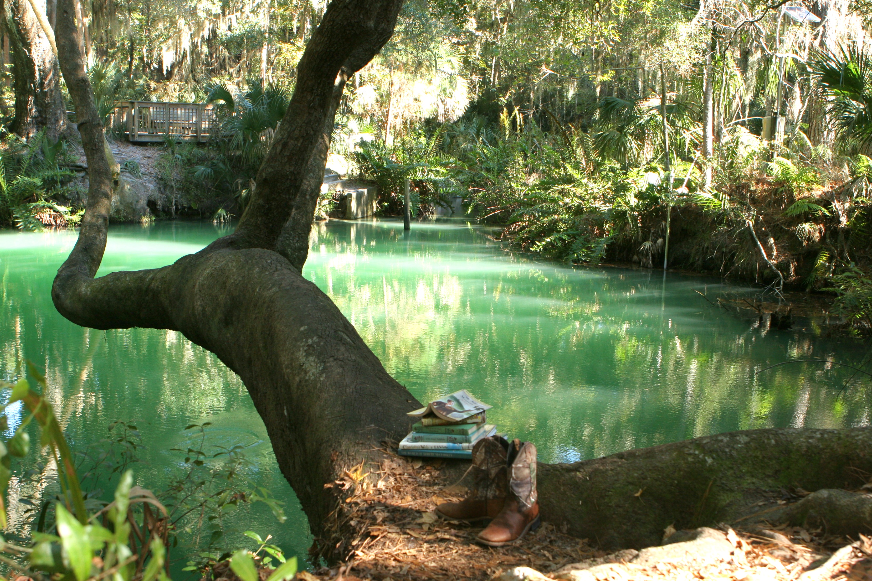 explore the history of florida at green springs in enterprise