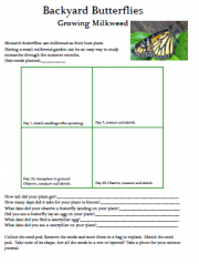 homeschool science curriculum milkweed