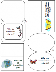 homeschool science curriculum butterflies 2