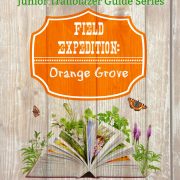 Orange Grove Science Curriculum