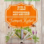 Farmer's Market and Grocery Science Curriculum