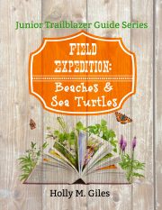 Sea Turtles Science curriculum Mini Unit