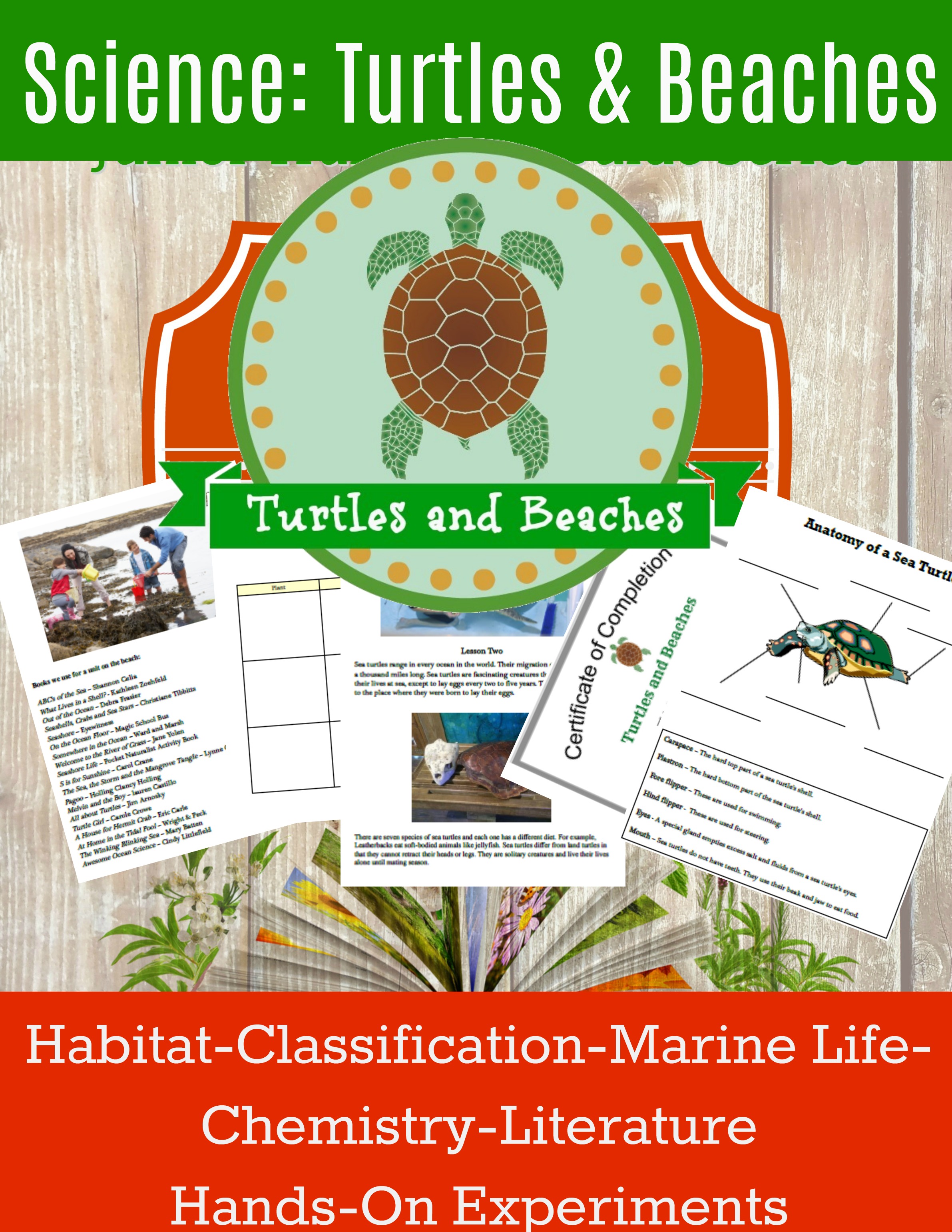 homeschool science sea turtles