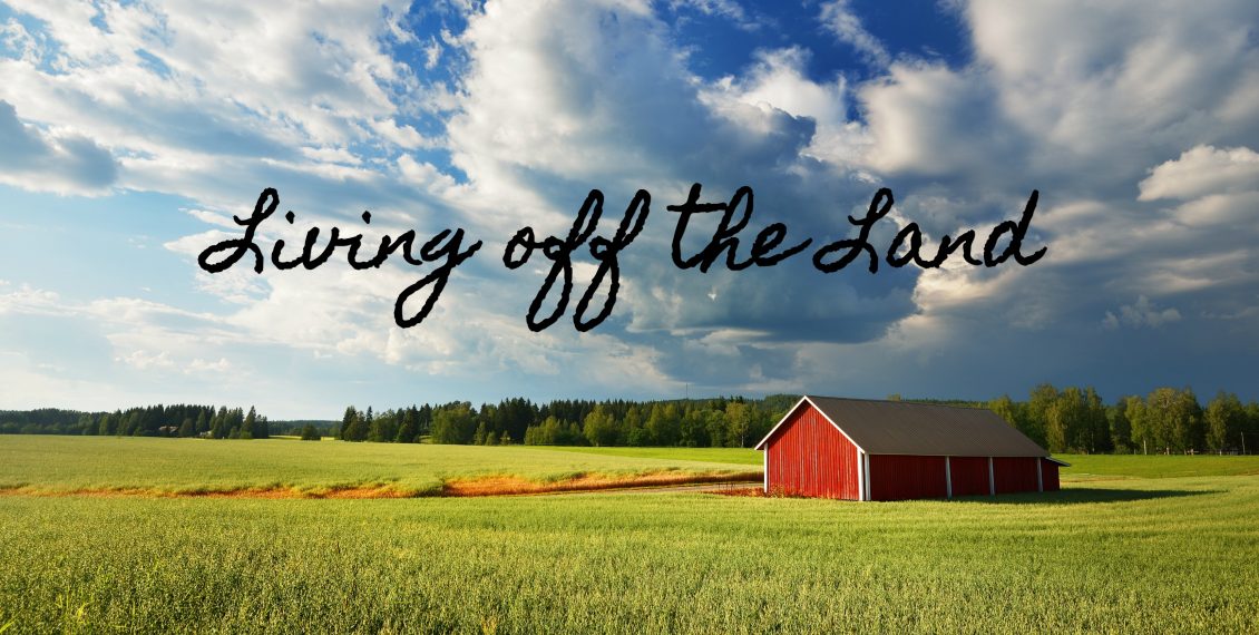 living off the land and laura ingalls wilder