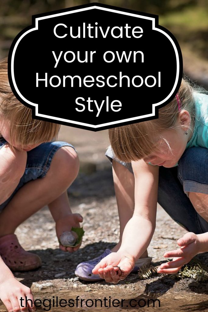 homeschool learning styles