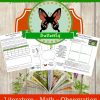 homeschool science curriculum butterflies unit